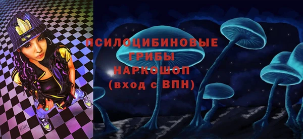 дурь Верхний Тагил