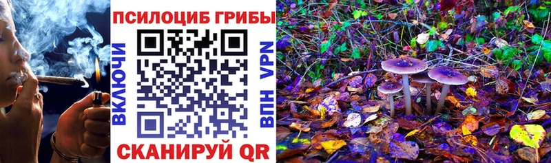 где купить наркотик  Вытегра  Псилоцибиновые грибы прущие грибы 